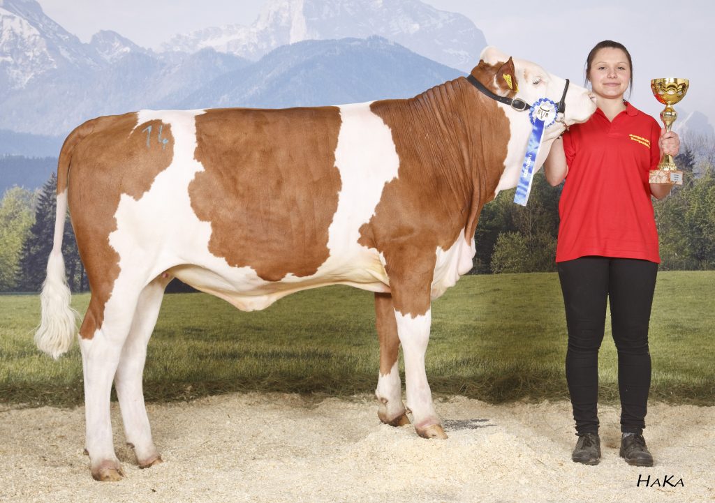 Gesamtsieger JZC, Wildhager Helene