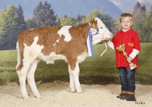 Vorführgruppensieger: AMTMANN Jonas, Oberschützen