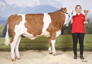 Gesamtsieger Vorführbewerb Windhager Helene LWFS Güssing