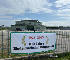 100 Jahre Rinderzucht im Burgenland