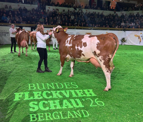 Bundesfleckviehschau 2026 Bundesfleckviehschau 2026